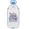 Вода Святой Источник 5л*2